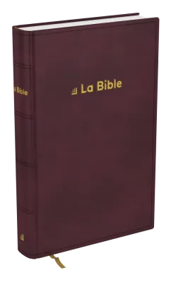Bible Darby révisée famille rigide brun