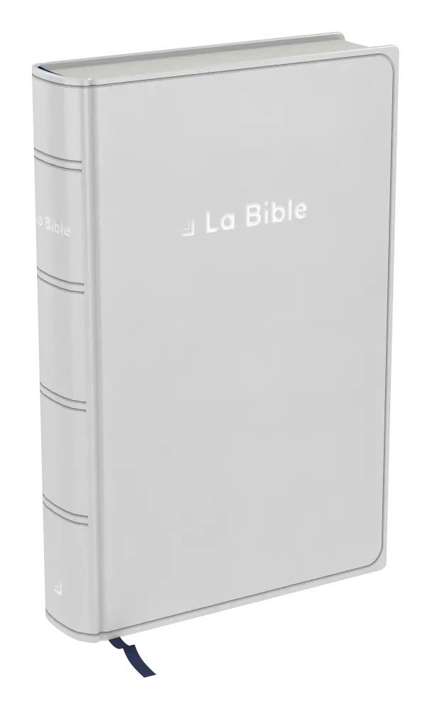 Bible Darby révisée souple gris argent