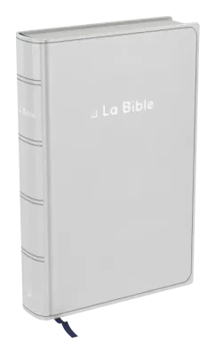 Bible Darby révisée souple gris argent