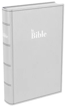 Bible Darby souple gris