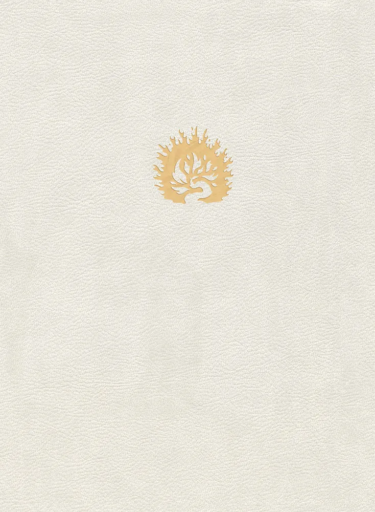 Bible Colombe étude de la foi réformée souple blanche or