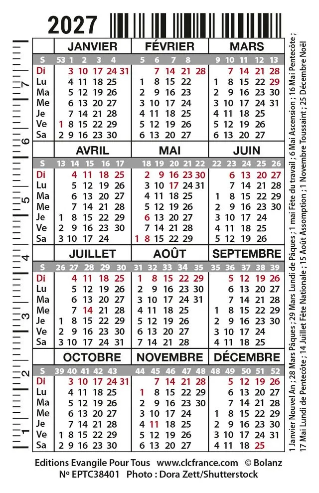 Calendrier carte - chat