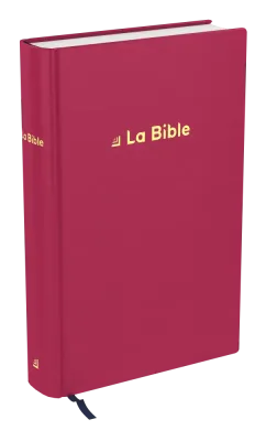 Bible Darby révisée famille rigide textile framboise