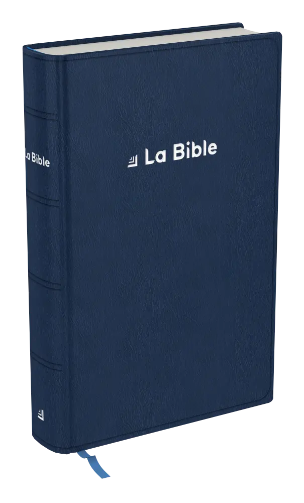 Bible Darby révisée famille souple bleu argent