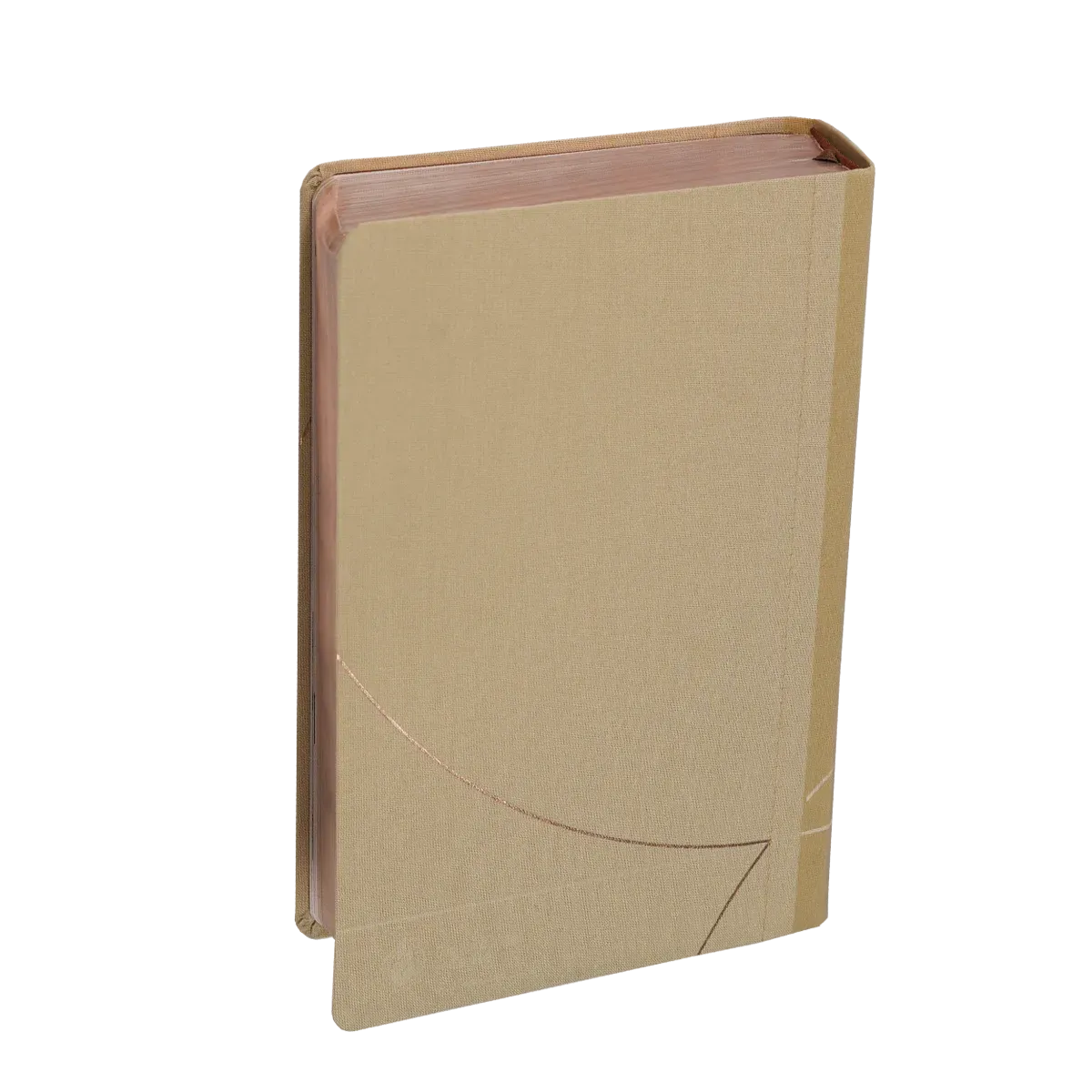Bible SG21 Vie Nouvelle souple toile beige cuivre