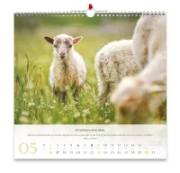 Calendrier - Psaumes 23 (grand format)