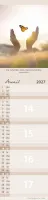 Calendrier - Pour Tous - Paysages