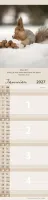 Calendrier - Pour Vous - Animaux