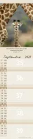 Calendrier - Pour Vous - Animaux