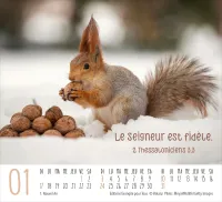 Calendrier - mini rencontres