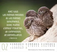 Calendrier - mini rencontres