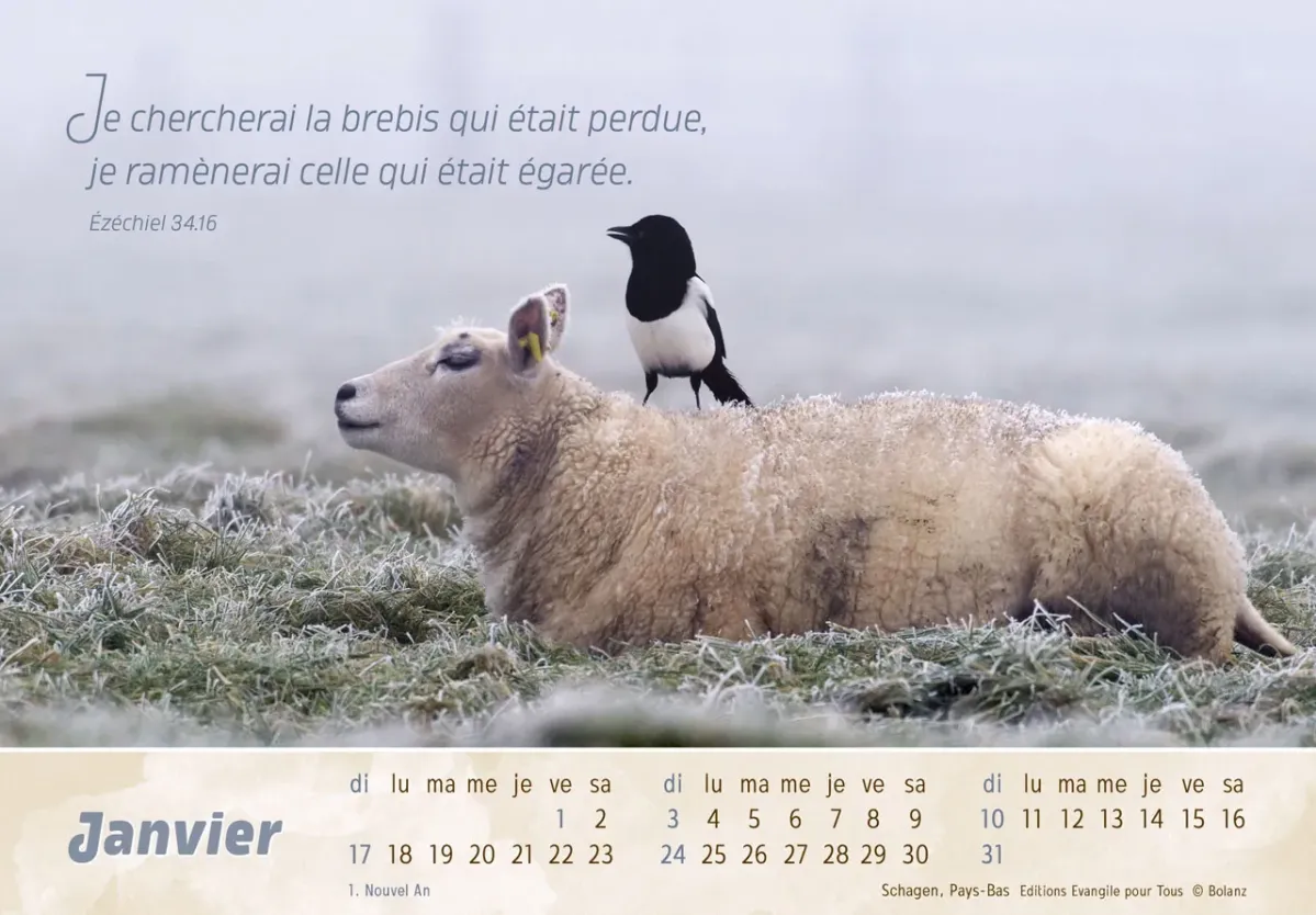 Calendrier - Le bon berger