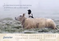 Calendrier - Le bon berger