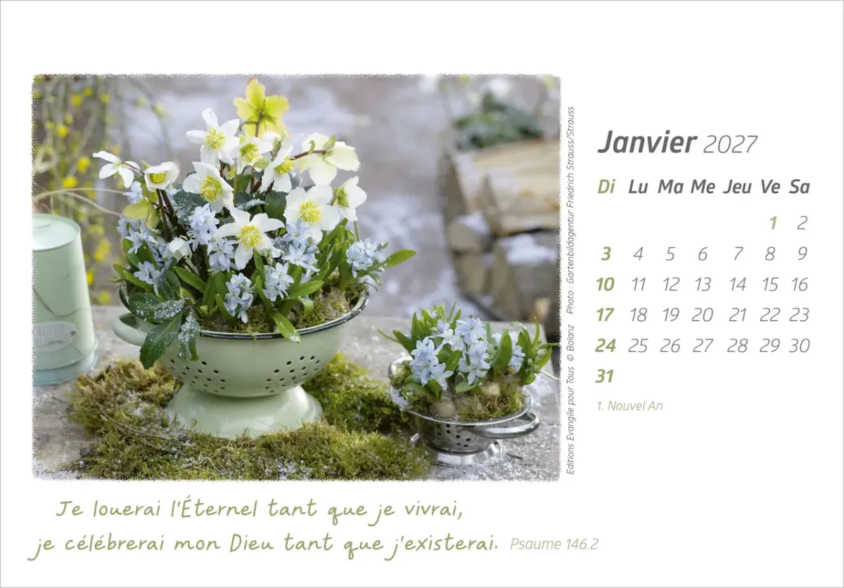 Calendrier - Délices