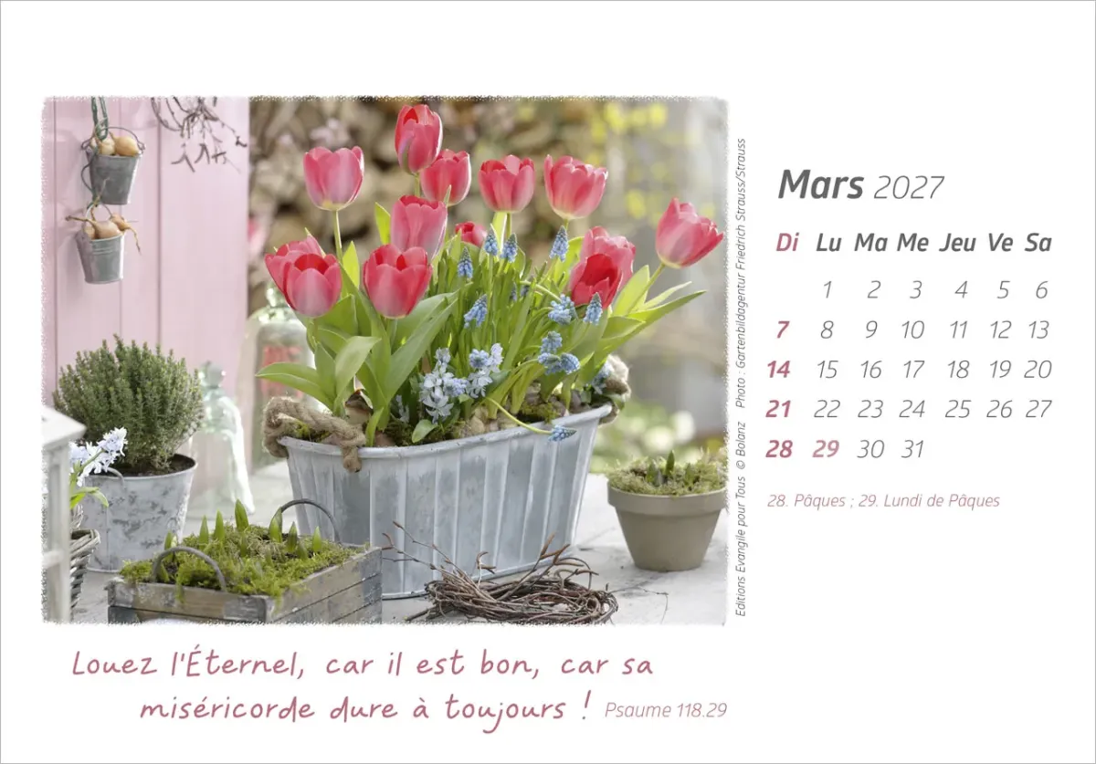 Calendrier - Délices