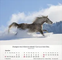 Calendrier - Chevaux - Merveilles de la création