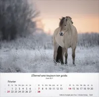 Calendrier - Chevaux - Merveilles de la création