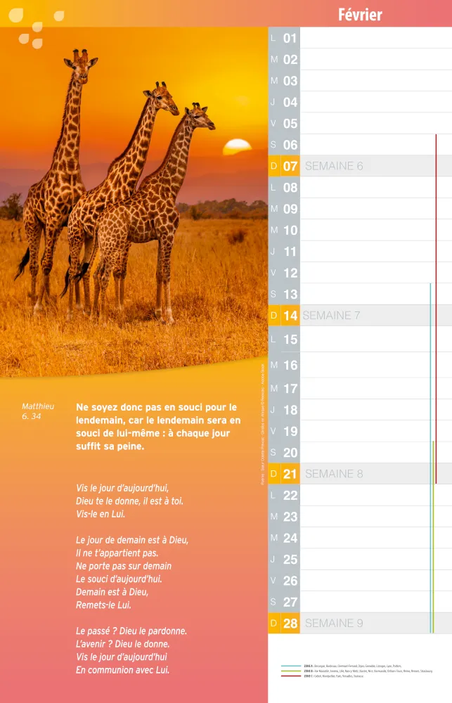 Calendrier Bonne Semence mensuel memo