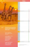 Calendrier Bonne Semence mensuel memo