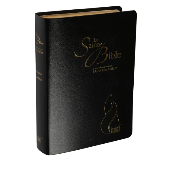 Bible NEG MacArthur souple noir or