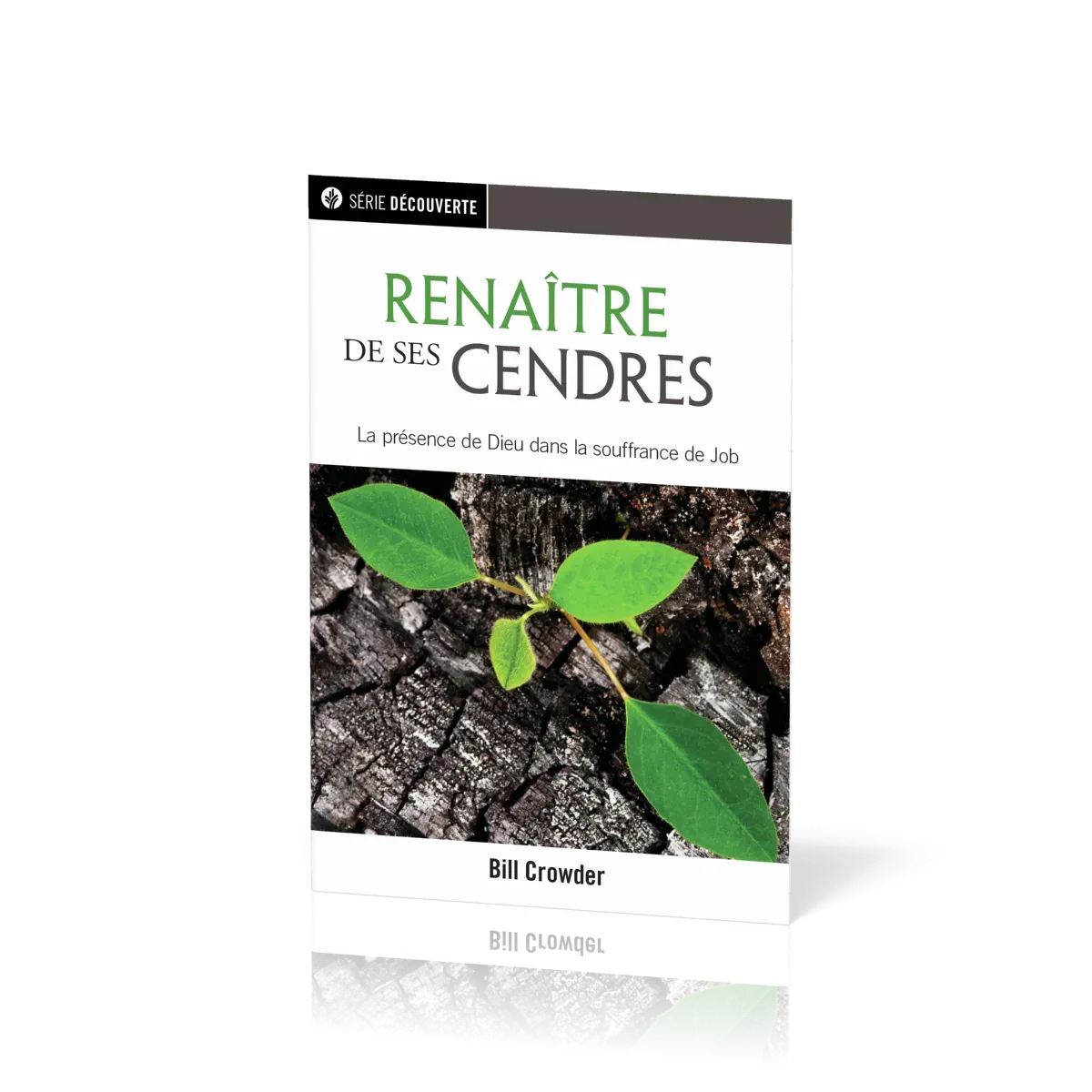 Renaître de ses cendres - La présence de Dieu dans la souffrance de Job