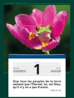 Calendrier - Paix vous soit (gros caractères)