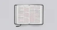 ESV Holy Bible LP compact charcoal crown