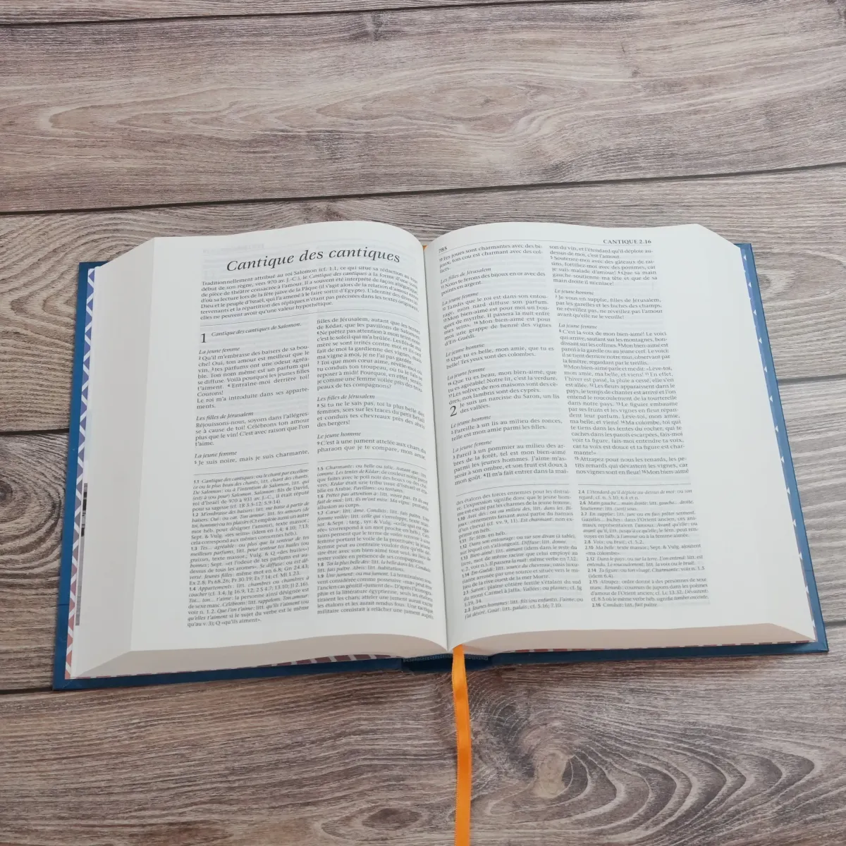 Bible SG21 rigide bleue avec notes de référence