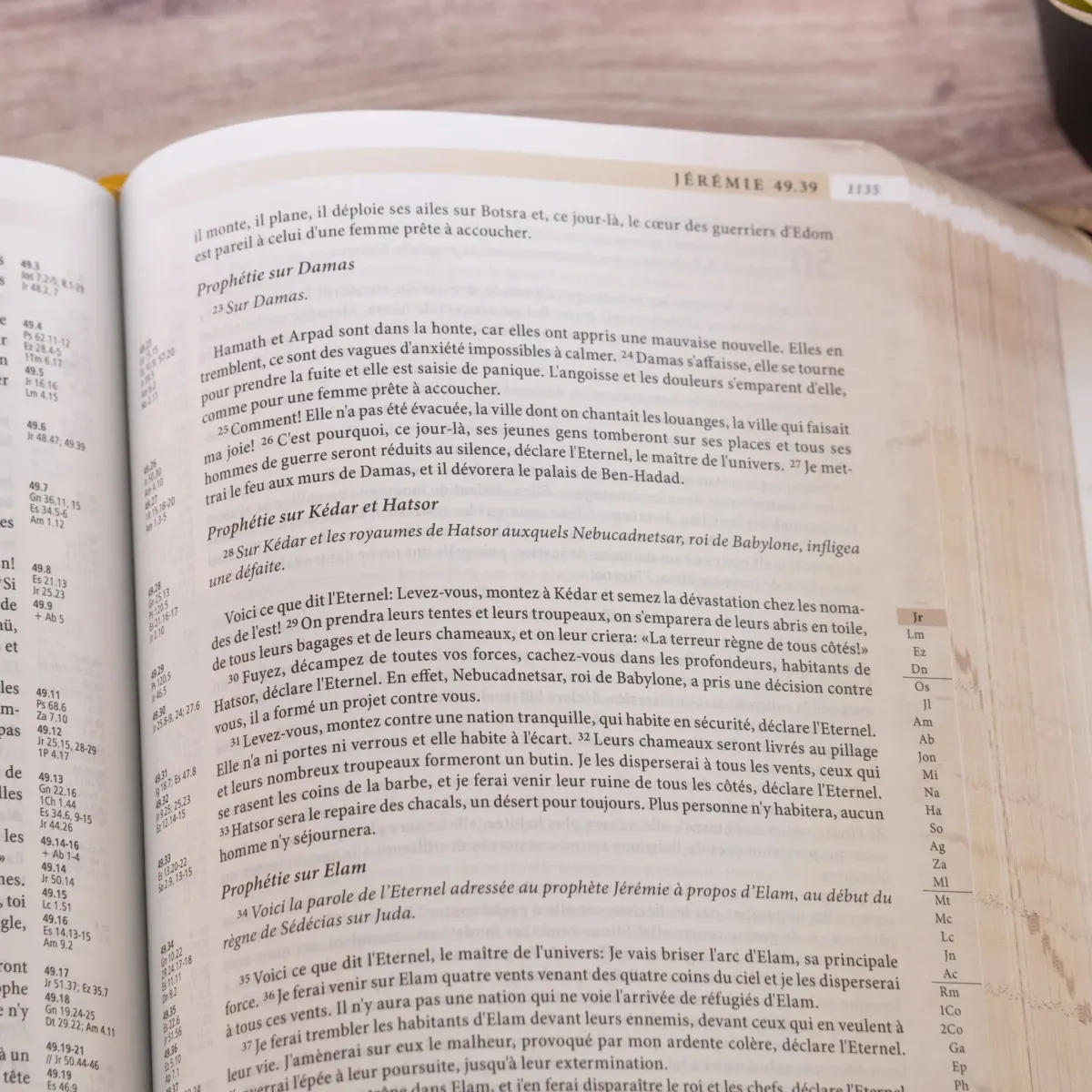 Bible SG21 Archéologique souple textile café bronze