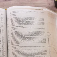 Bible SG21 Archéologique souple textile café bronze