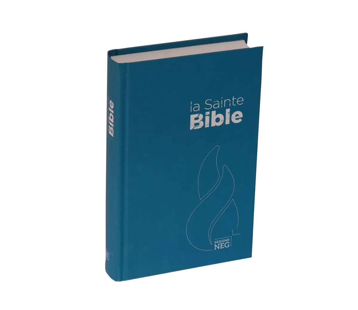 Bible NEG rigide bleu