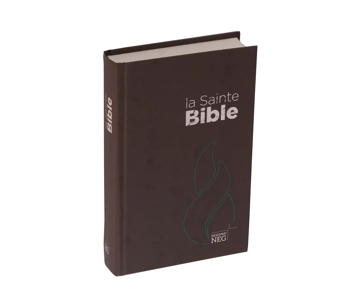 Bible NEG rigide brune