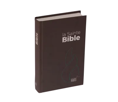 Bible NEG rigide brune