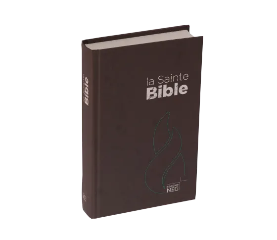 Bible NEG rigide brune