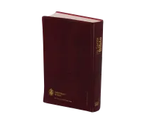 Bible NEG souple grenat