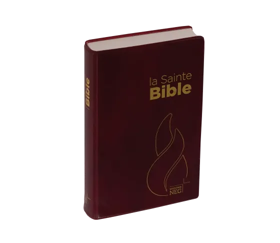 Bible NEG souple grenat