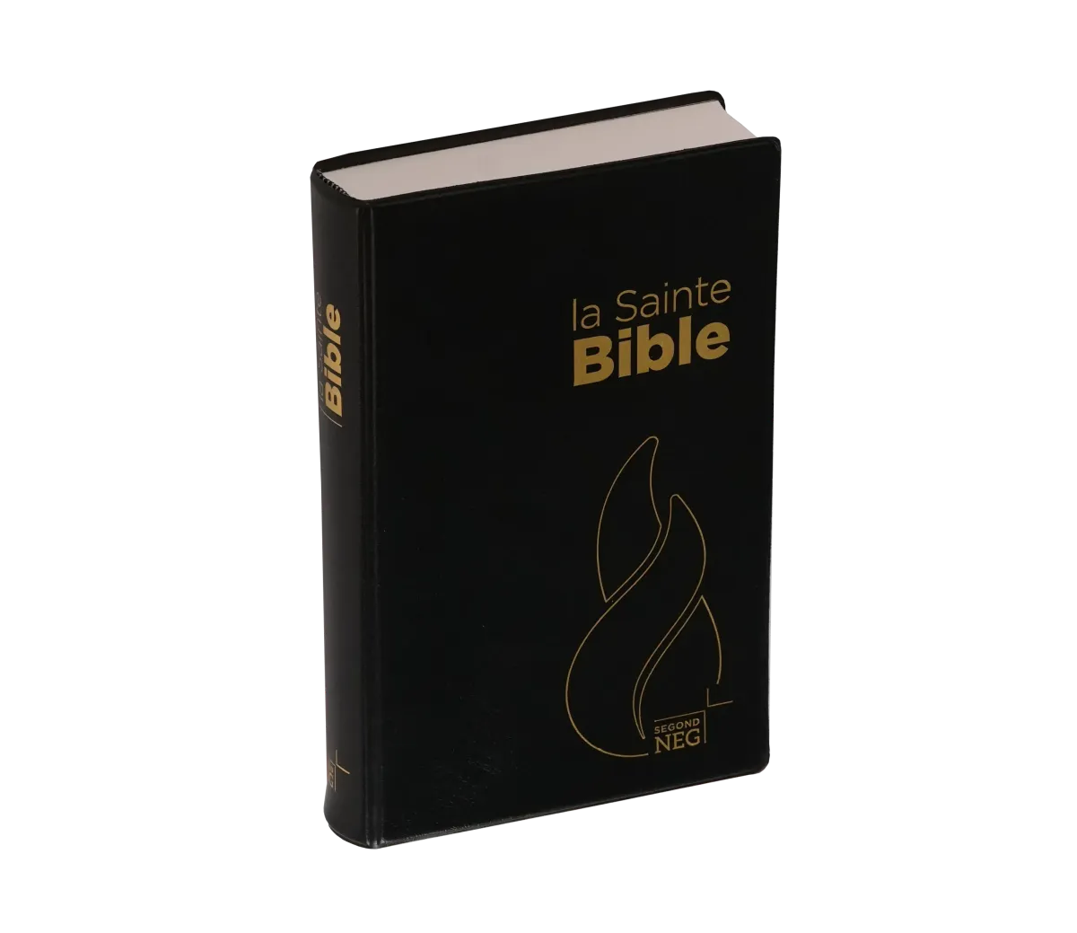 Bible NEG souple noir