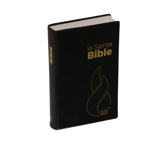 Bible NEG souple noir