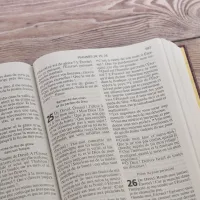 Bible NEG gros caractères rigide grenat
