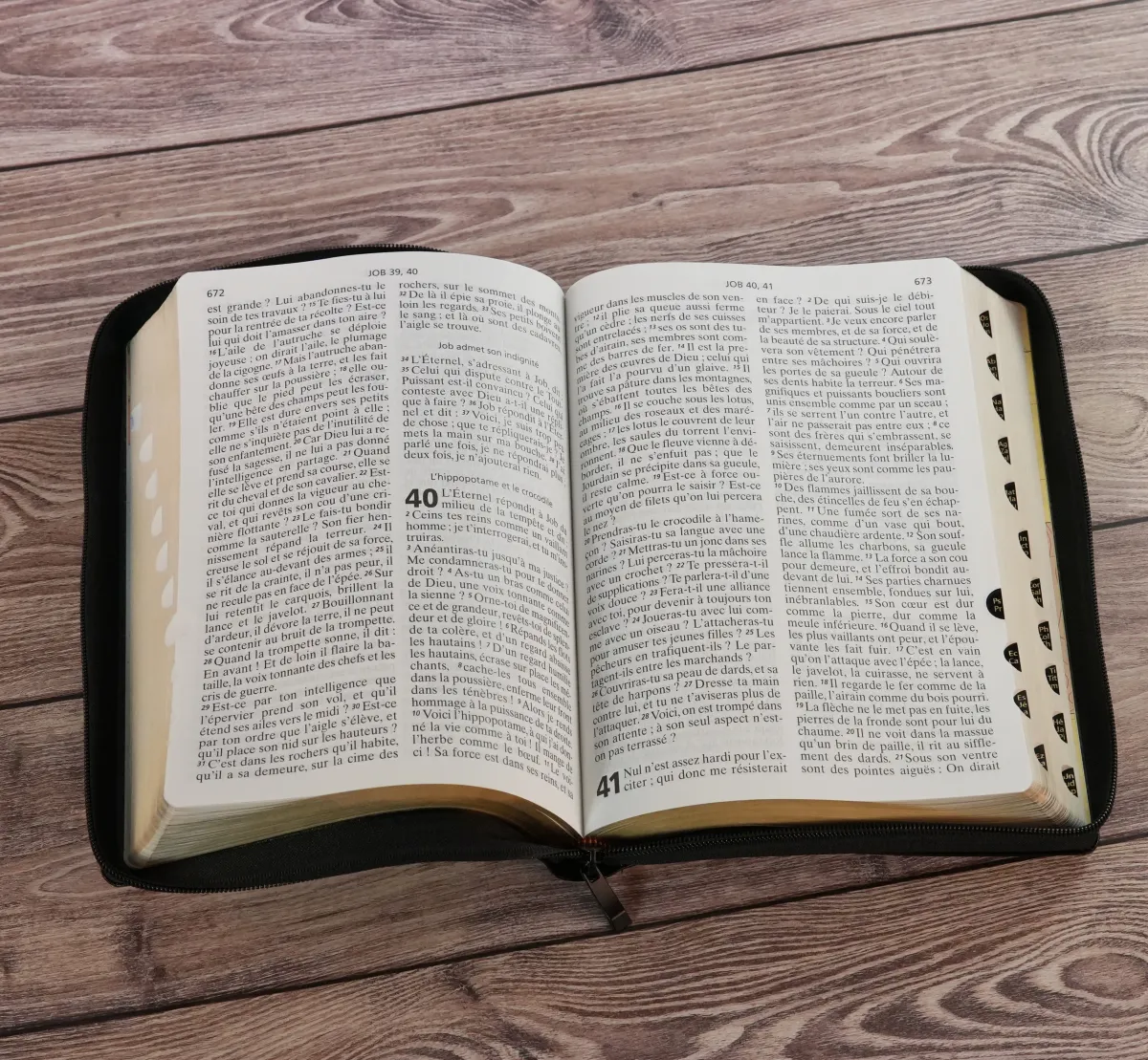 Bible NEG gros caractères souple noir or onglets