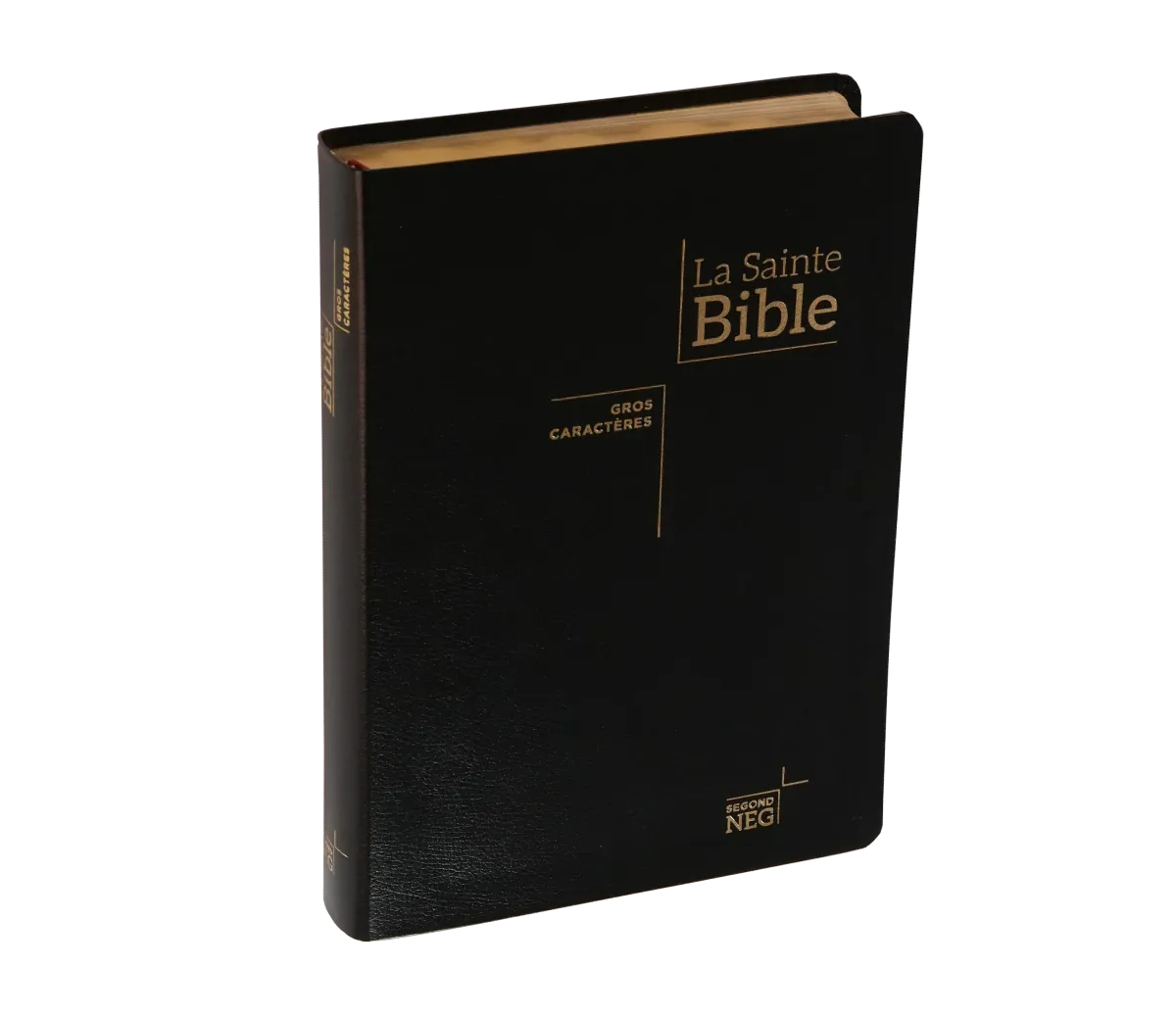 Bible NEG gros caractères souple noir or onglets