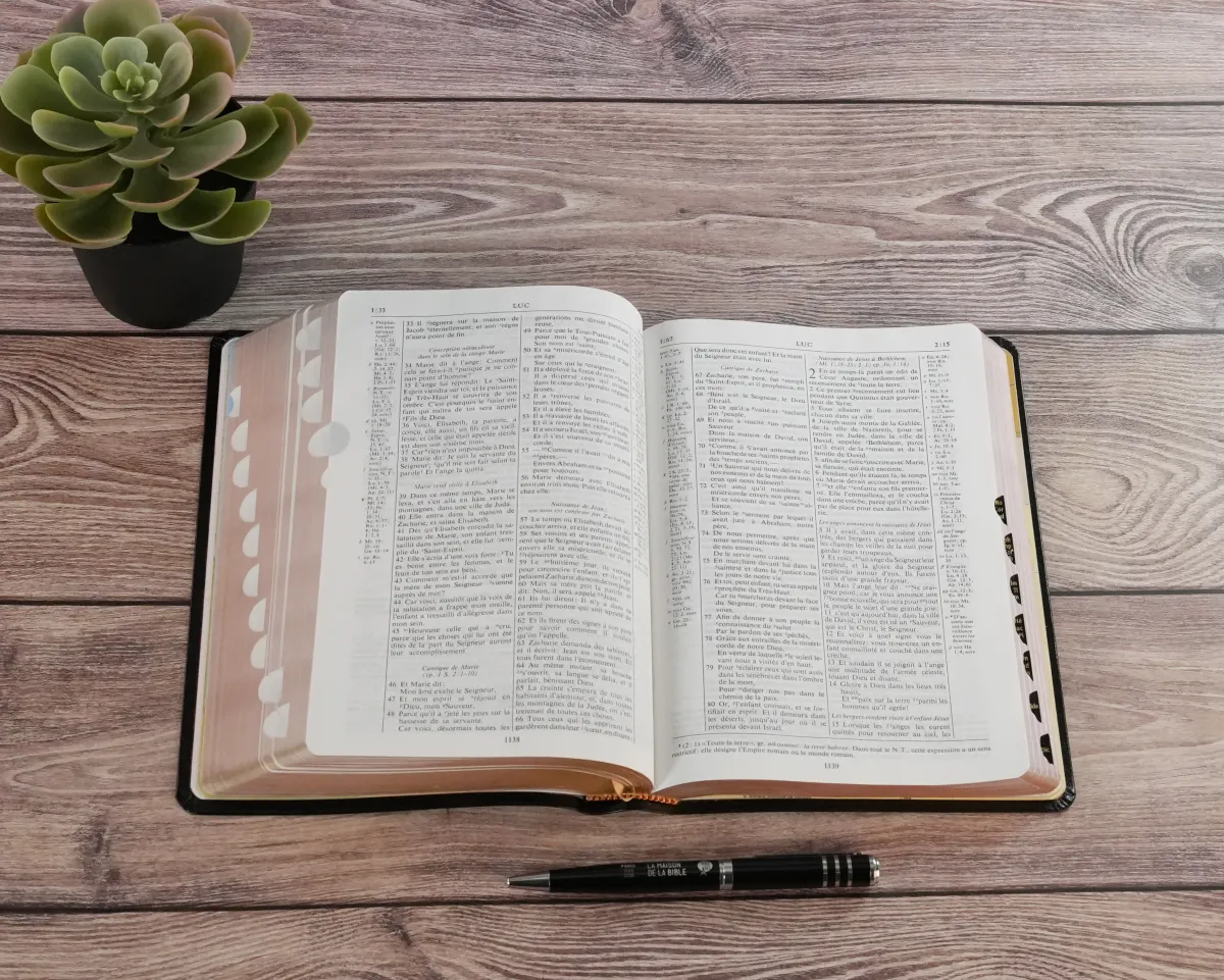 Bible NEG Scofield noir or onglets