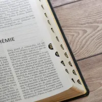 Bible NEG Scofield noir or onglets