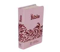 Bible SG21 souple textile rose onglets