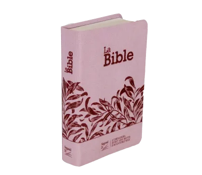 Bible SG21 souple textile rose onglets
