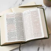 KJV compact LP reference Bible olive leathertouch