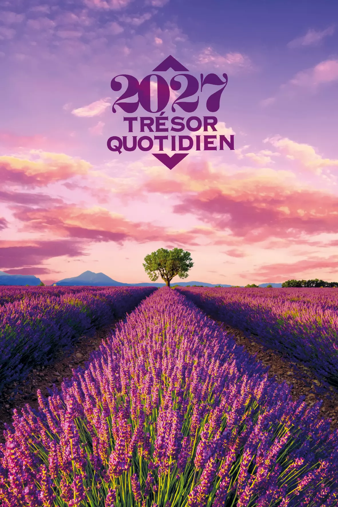 Calendrier - Trésor quotidien - mural (lavande ou boréale)