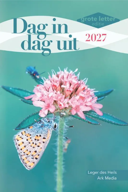 Kalender - Dag in Dag uit (grote letter editie)