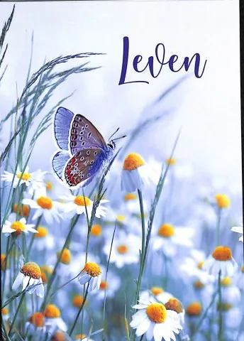 Basis Bijbel Leven - Nieuwe Testament