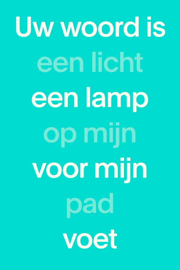 NBV21 Bijbel paperback editie - blauw